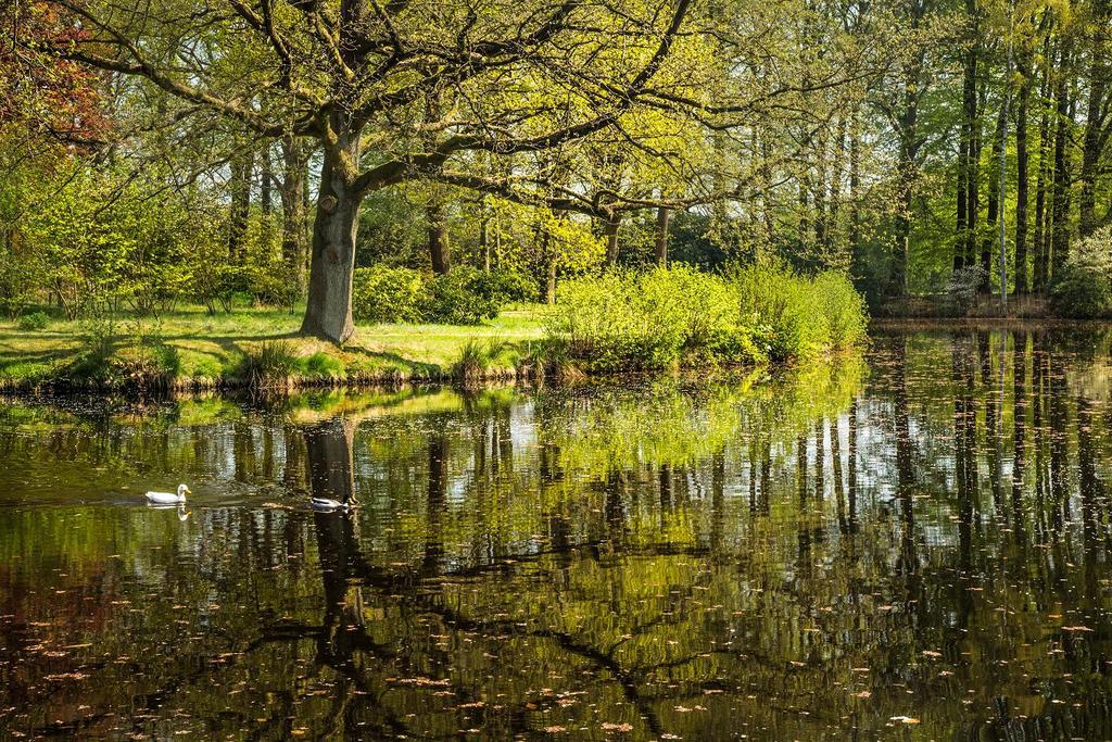 Hotel Kasteel De Essenburgh Hierden Exteriér fotografie